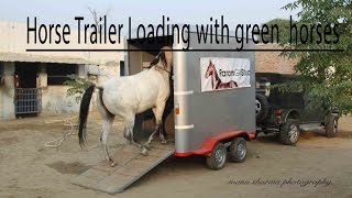 horse trailer loading with green horses