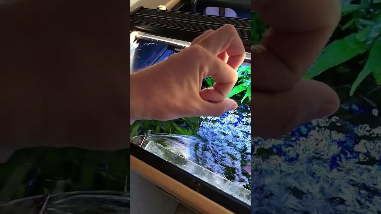 Comment je nettoie autour de la crépine sans que la saleté retombe ? 💧🐠 (astuce abonné)