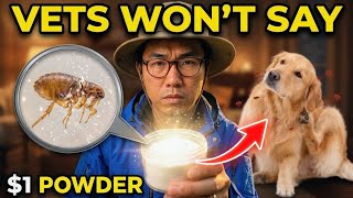 $1 Powder That Instantly Kills Fleas, Ticks & Red Bugs – 100% Pet-Safe! Does Borax Get Rid Of Fleas