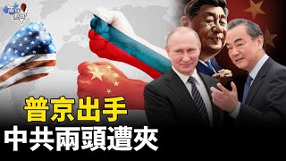 倒計時來了 普京也出手？習疑似就快崩潰 【兩岸要聞】