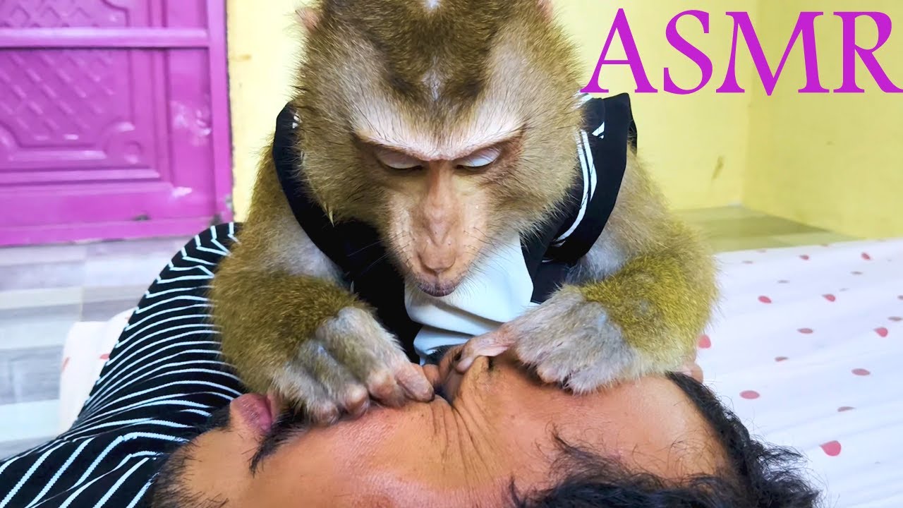 Guaranteed 100% Sound ASMR Soft Whole Grooming Around EYES Dr. Bela