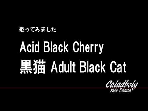 Acid Black Cherry 11 Freelive 11 Black Cherry Youtube