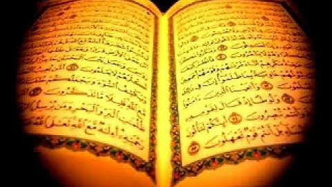 سورة الغاشية - صلاح البدير