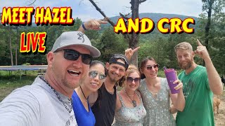 HAZEL&#39;S FIRST LIVE |tiny house, homesteading, off-grid, cabin build, DIY, HOW TO, sawmill, tractor