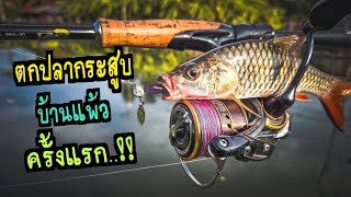 ตกปลากระสูบ🎣บ้านแพ้ว🏞ครั้งแรก!!ของ #น้าติงตลิ่งลั่น #ตกปลากระสูบ #ตีเหยื่อปลอม #ชง #เพื่อนน้า