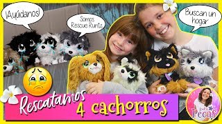 🐶Lucía y yo RESCATAMOS 4 CACHORROS ABANDONADOS 😢Únete al club RESCUE RUNTS 🐶Lucía y yo RESCATAMOS 4 CACHORROS ABANDONADOS 😢Únete al club RESCUE RUNTS