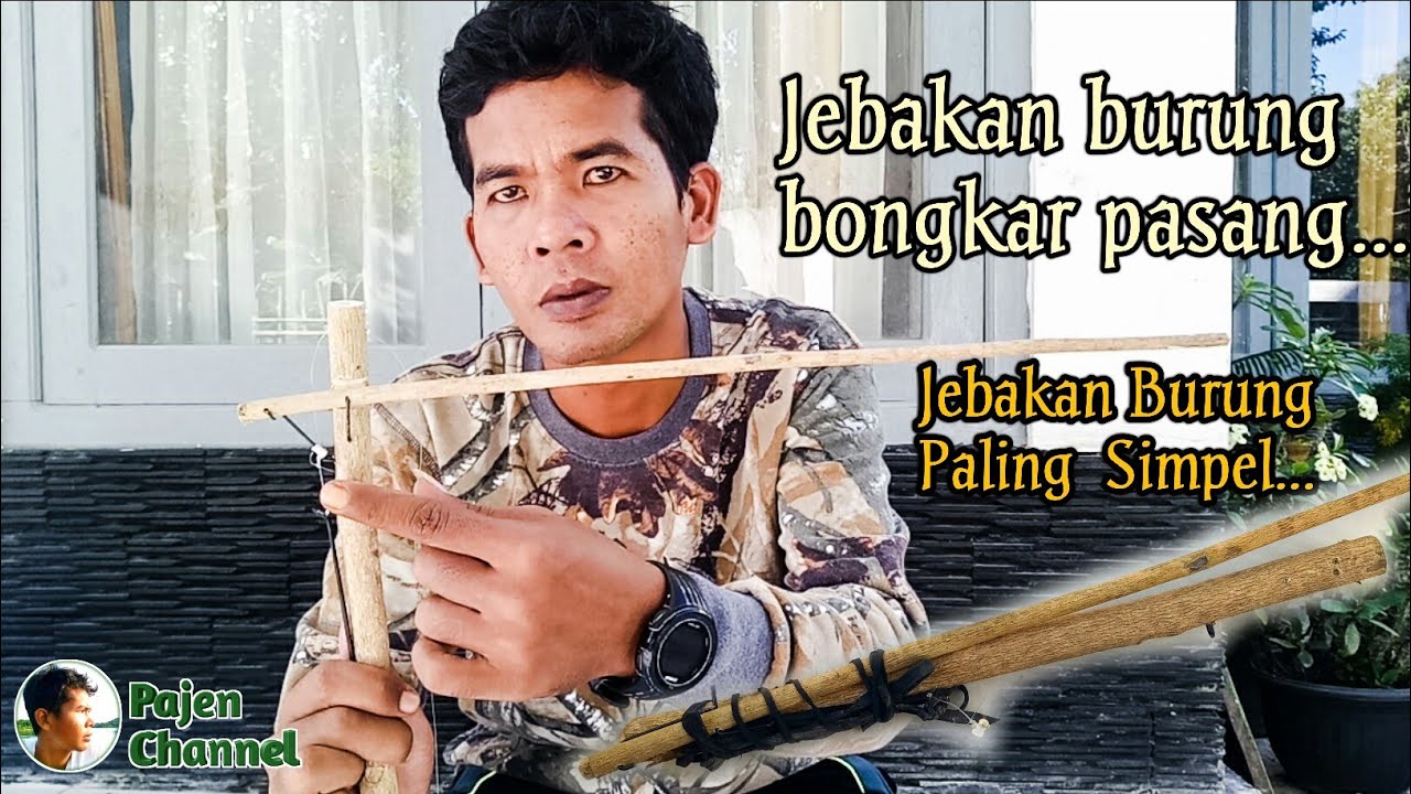 Простые способы сделать заглушки для разгрузки птиц из деревянных веток