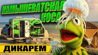 картинка: КАМЫШЕВАТСКАЯ КОСА автономно с АВТОДОМОМ Family Campers   Семейное путешествие