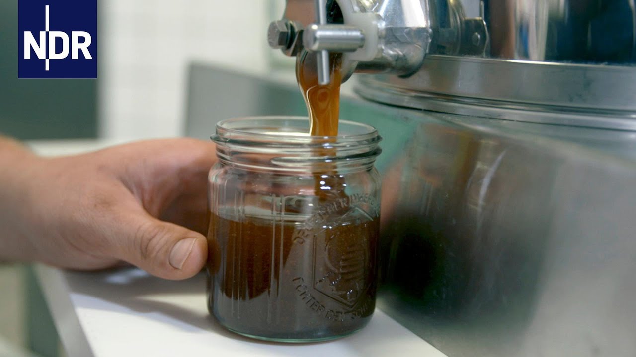 Bienen: Unser Honig | Wie geht das? | NDR Doku