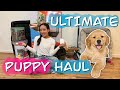 NEW PUPPY HAUL | GOLDEN RETRIEVER ESSENTIALS | PET STORE vs EVERYTHING ELSE