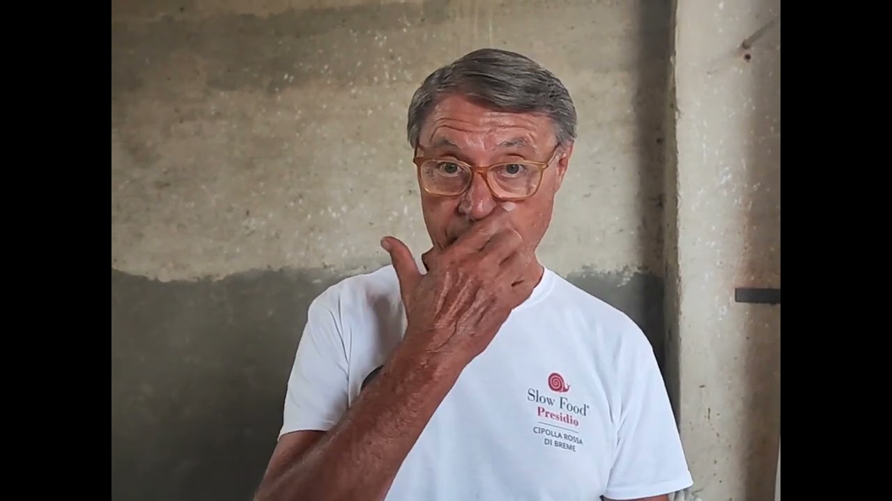 La cipolla di Breme PV come si riconosce 