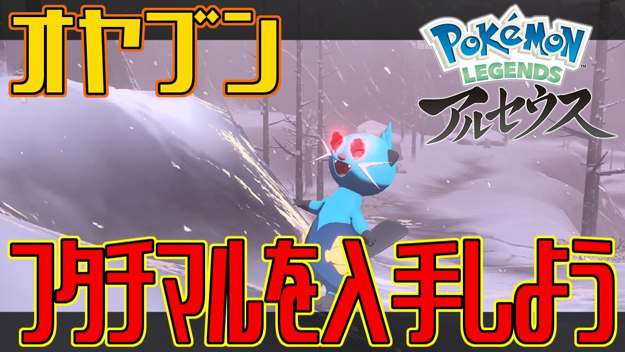 ポケモンアルセウス オヤブンのフタチマルを入手しよう Pokemon Legends アルセウス Youtube