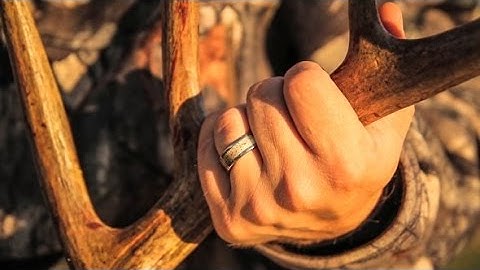 9+ Year Old Mature Illinois Deer Hunting With A Bow - The Management Advantage #64