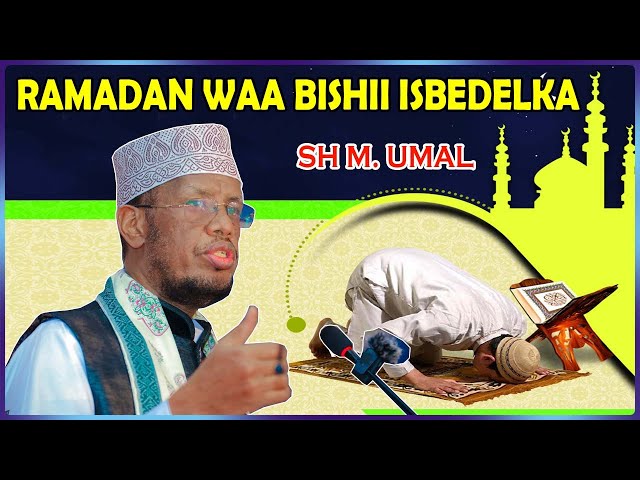 Er choqintirgan otasini yaladi