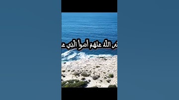 سورة الزمر الشيخ محمود عمر