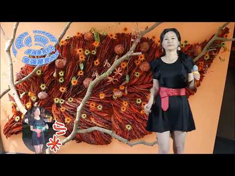 坚強是我的名(小米)2022年11月29日