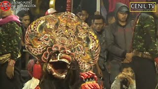 SINGO BARONG GALAK PANGGAH SAE' LEGOWO PUTRO LIVE WERUNGOTOK KAB NGANJUK