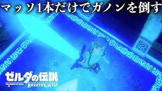 マッソだけでガノンを倒したい【ゼルダの伝説ブレスオブザワイルドSwitch2 Edition】