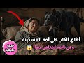 قصة الشاب الذي أطلق الكلب على أمه أثناء نومها ليتخلص منها إرضاء لزوجته فانظر كيف كانت النهاية 