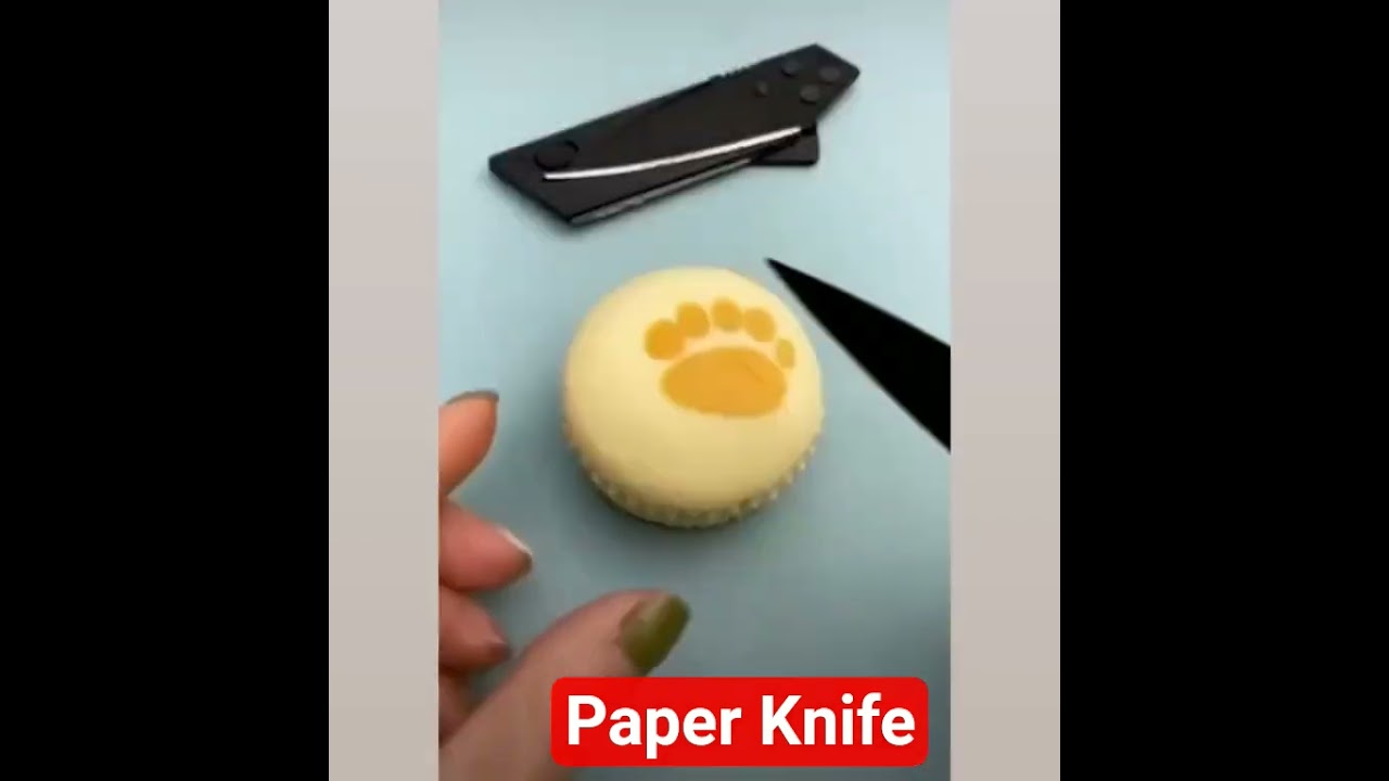 Multi purpose Paper Knife for Kitchen and Home 