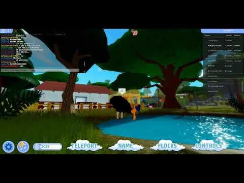 Me Playing As The Cassowary In Feather Family Youtube - roblox feather family hummingbird crane map exploration day