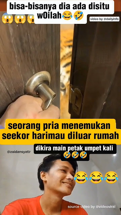 bisa-bisanya dia ada disitu😂🤣#videoviral #videolucu #lucungakak #ngakakkocak #videokeren #harimau