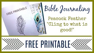 Bible Journaling | Peacock Feather Plus Free Printable