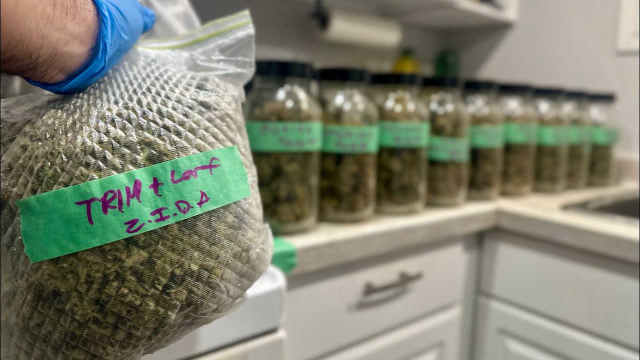 Burping Jars & Crafting a Temple Ball: My Hash Journey 