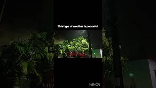 rainy night #aestheticlifestyle #fypシ゚viral #rain #naturetherapy