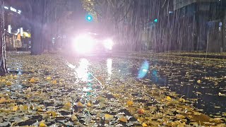 Relaxing Rain ASMR Extremely Gentle Ambience Sleep White Noise Focus Enhancing Baby Soothing