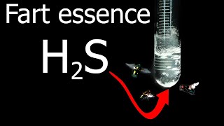 Making Rotten Eggs Essence. Liquid Hydrogen Sulfide.