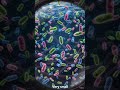 🦠 Bacteria are tiny living organisms found everywhere some help us, while others can make us sick!.