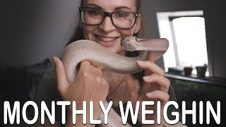 Famous MONTHLY WEIGHIN #2 Net Worth