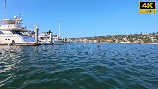 August 08 2026 - Point Loma San Diego CA Serene Paddleboarding ASMR on Calm Waters