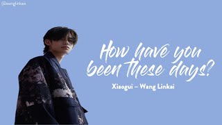 [HAN/PIN/ENG] 小鬼-王琳凯 Xiaogui - Wang Linkai -《你最近还好吗》Lyric Video