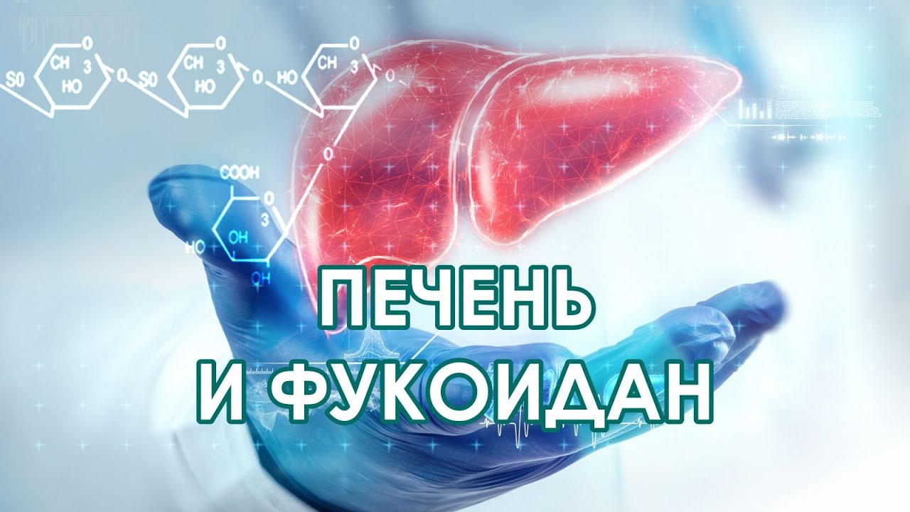 Печень и фукоидан - YouTube