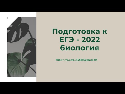 Решение задач линии 27 на МИТОЗ и МЕЙОЗ