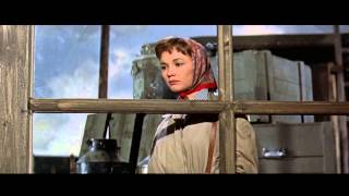 Le Temps d'aimer et le Temps de mourir (A Time to Love and a Time to Die), Douglas Sirk, 1958. Le Temps d'aimer et le Temps de mourir (A Time to Love and a Time to Die), Douglas Sirk, 1958.