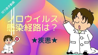 【切り抜き】★疾患★ノロウイルスの感染経路は？
