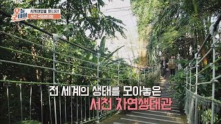 영화 속 한 장면 같은 '서천 국립생태원' 열대 정글 속으로 GO↗ 오늘, 굿데이 68회