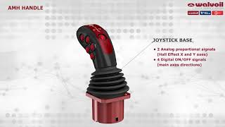 Impugnatura AMH  -  AMH Handle presentation