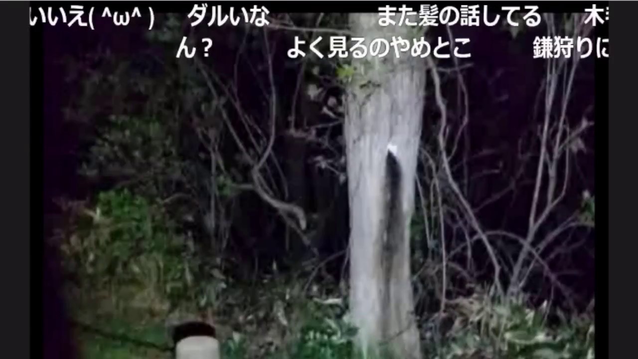 秋田 ガチで怖い心霊スポット 廃墟15選 行った人の証言や映ってる動画も Shiori