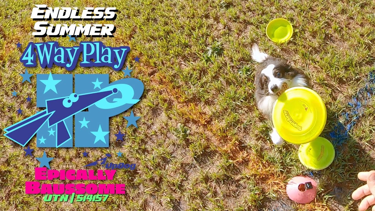 4 way play. 4 way play