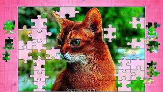 puzzle #4982 gameplay || HD Big cat wildlife jigsaw puzzles game video  screenshot 4