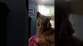 Daily snaps 7/8/18