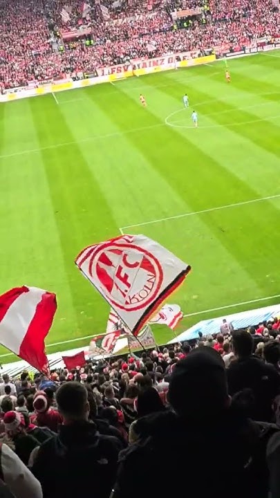 Egal Was Auch Passiert Die Rote Wand Steht Hinter Dir Egal was auch passiert die Rote Wand steht hinter dir ️🤍 #bundesliga #