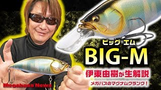 伊東由樹がメガバスのマグナムクランク「ビッグM」を生解説