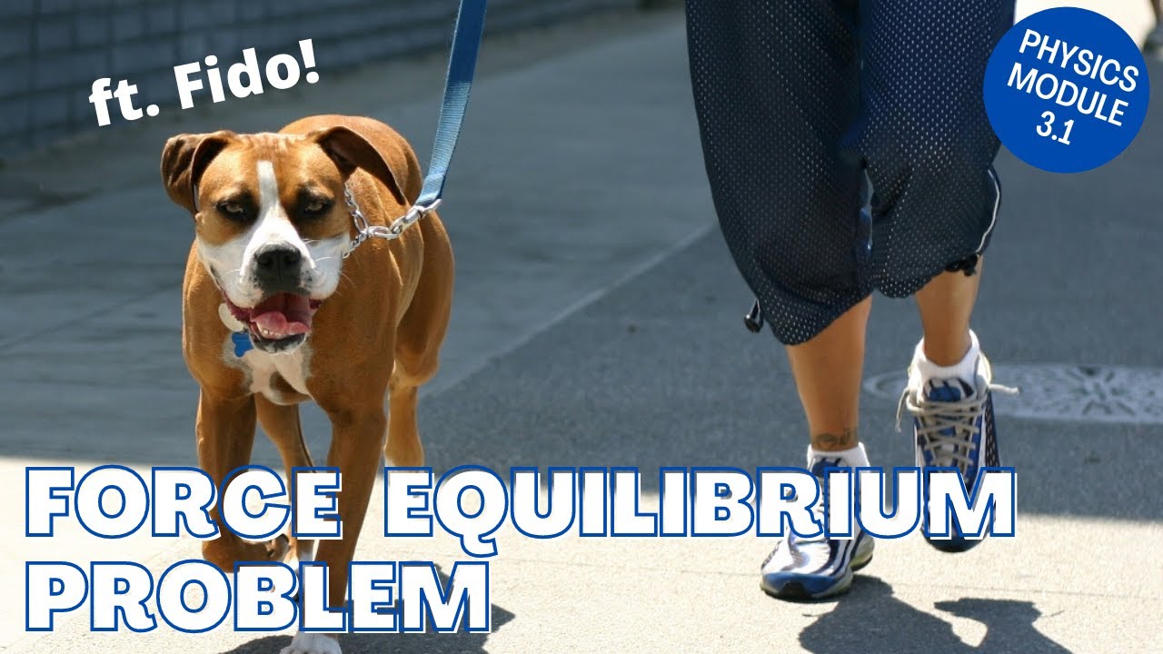 FORCE EQUILIBRIUM | Sample Problem - YouTube