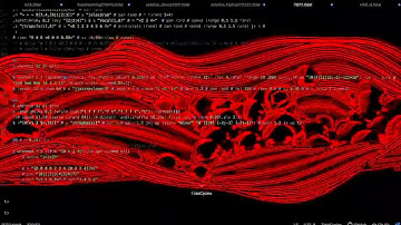 TidalCycles Beat with TouchDesigner / moistpeace