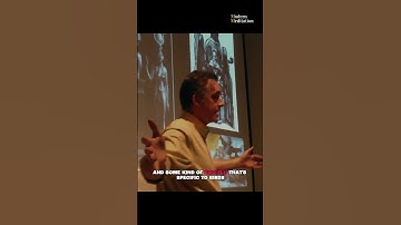 Dominance Hierarchy | Jordan B. Peterson